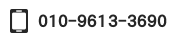 010-9613-3690